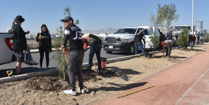 Plantaron 50 árboles en el parque lineal Can-Am