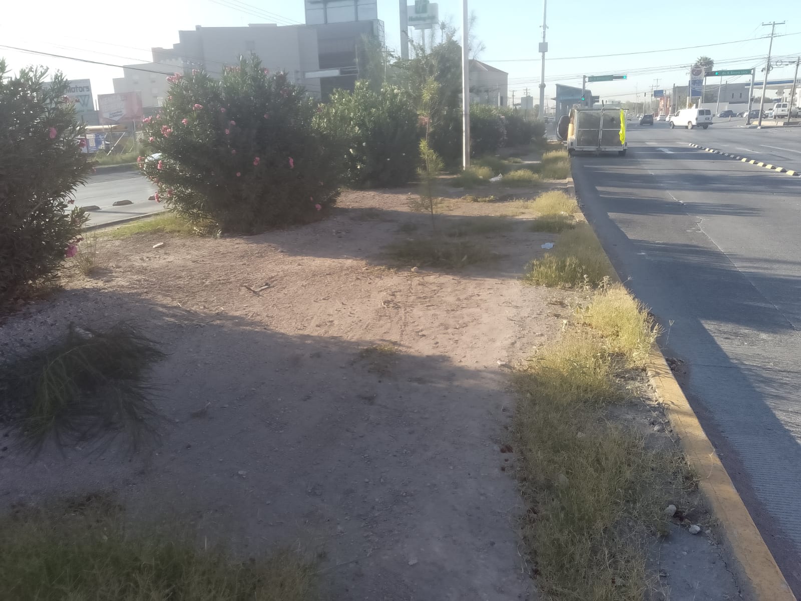 Dirección de Parques y Jardines da mantenimiento a camellón de la avenida Tecnológico