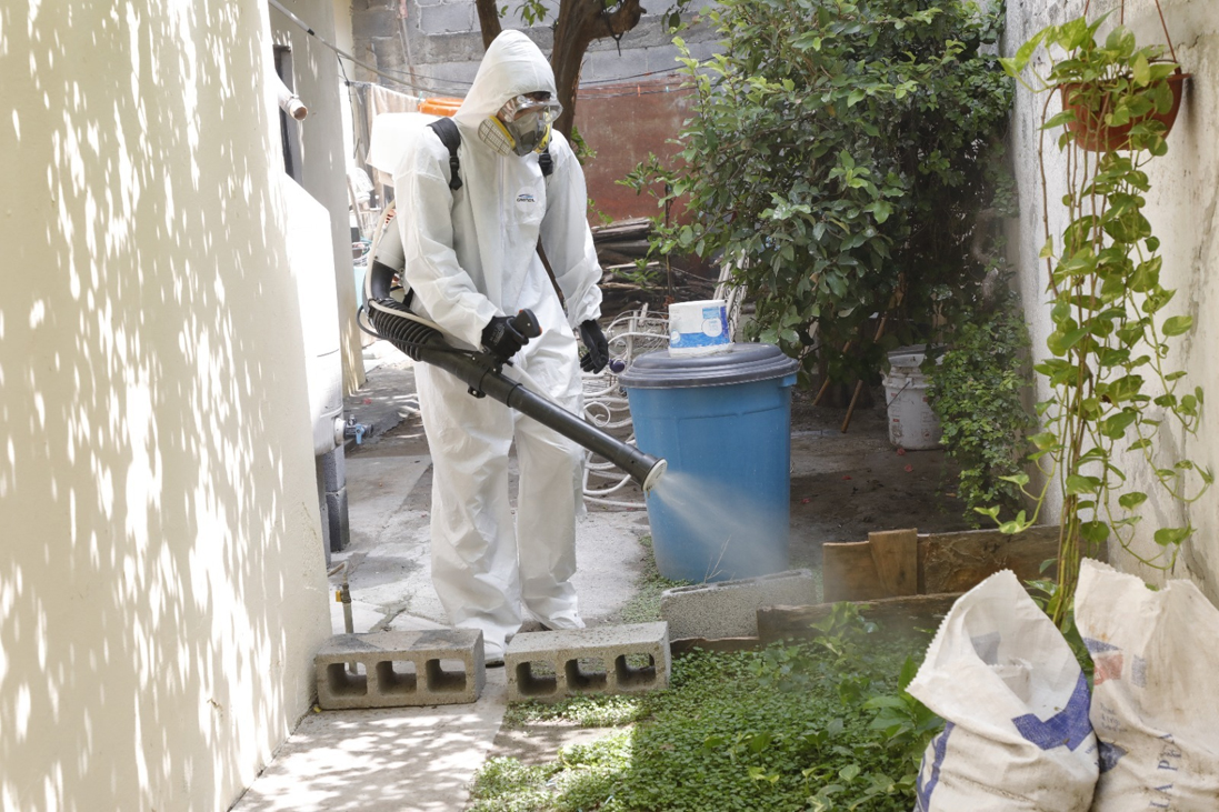 Ofrece la Dirección de Ecología servicio gratuito de fumigación 