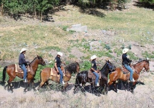 Apoyan caballos policía en el patrullaje de zonas rurales y de difícil acceso