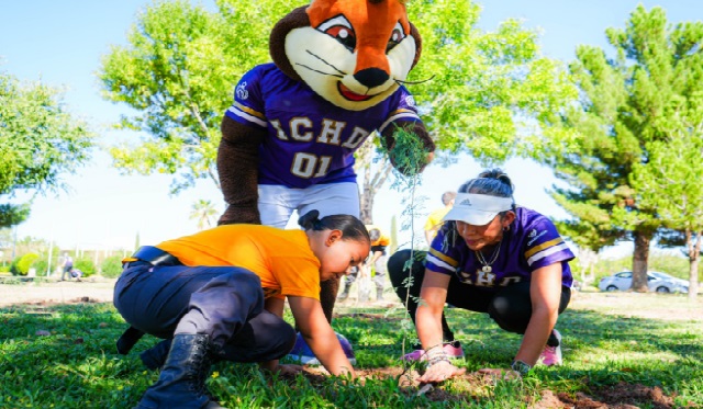 Reforestan la Deportiva Sur con mil 250 árboles