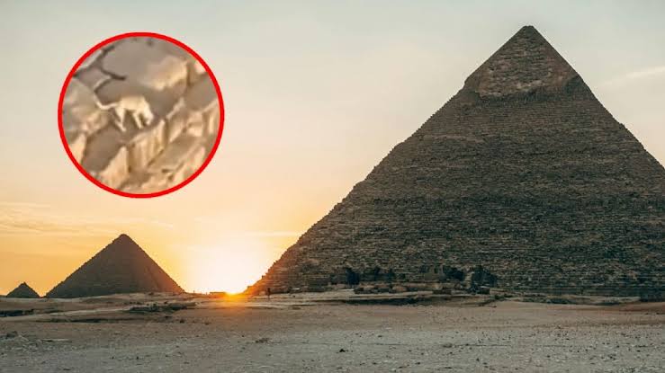 Captan a perro en la cima de la Gran Pirámide de Giza