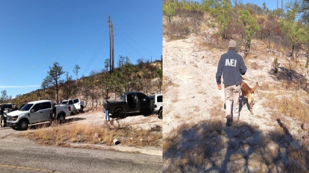 Aseguran restos óseos en la zona sur del estado