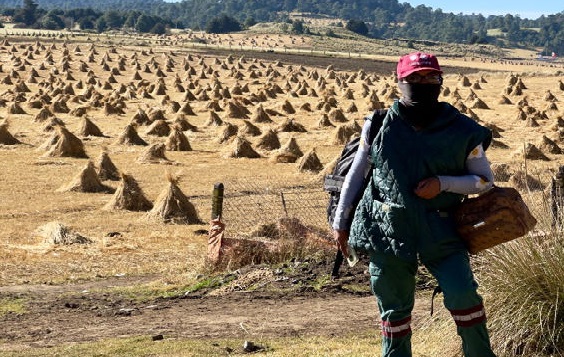 Provocará “La Niña” invierno seco hasta abril, prevén investigadores