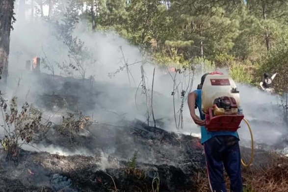 Desplome de avioneta en Quitupan, Jalisco deja al menos siete personas muertas