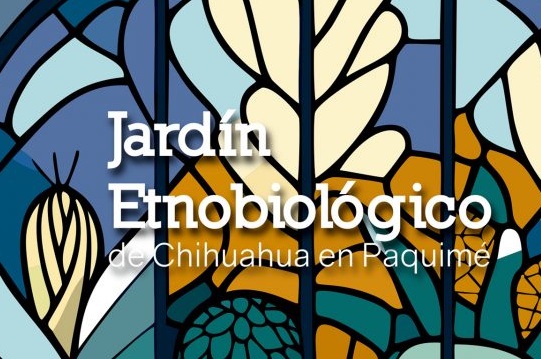 Trabajan investigadores de la UACJ en creación de Jardín Etnobiológico de Chihuahua en Paquimé